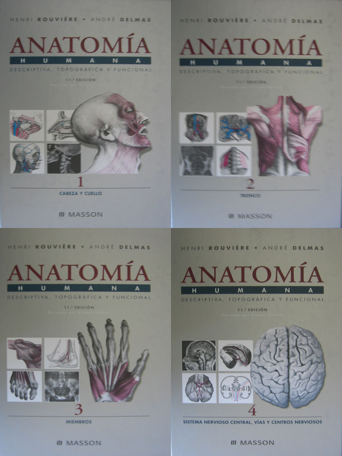 Libro: Anatomia Humana Descriptiva, Topografica y Funcional 4 Vols. 11a. Edicion Autor: Henry Rouviere, Andre Delmas