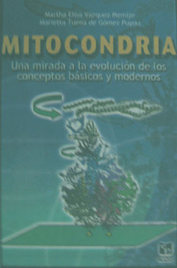 Mitocondria