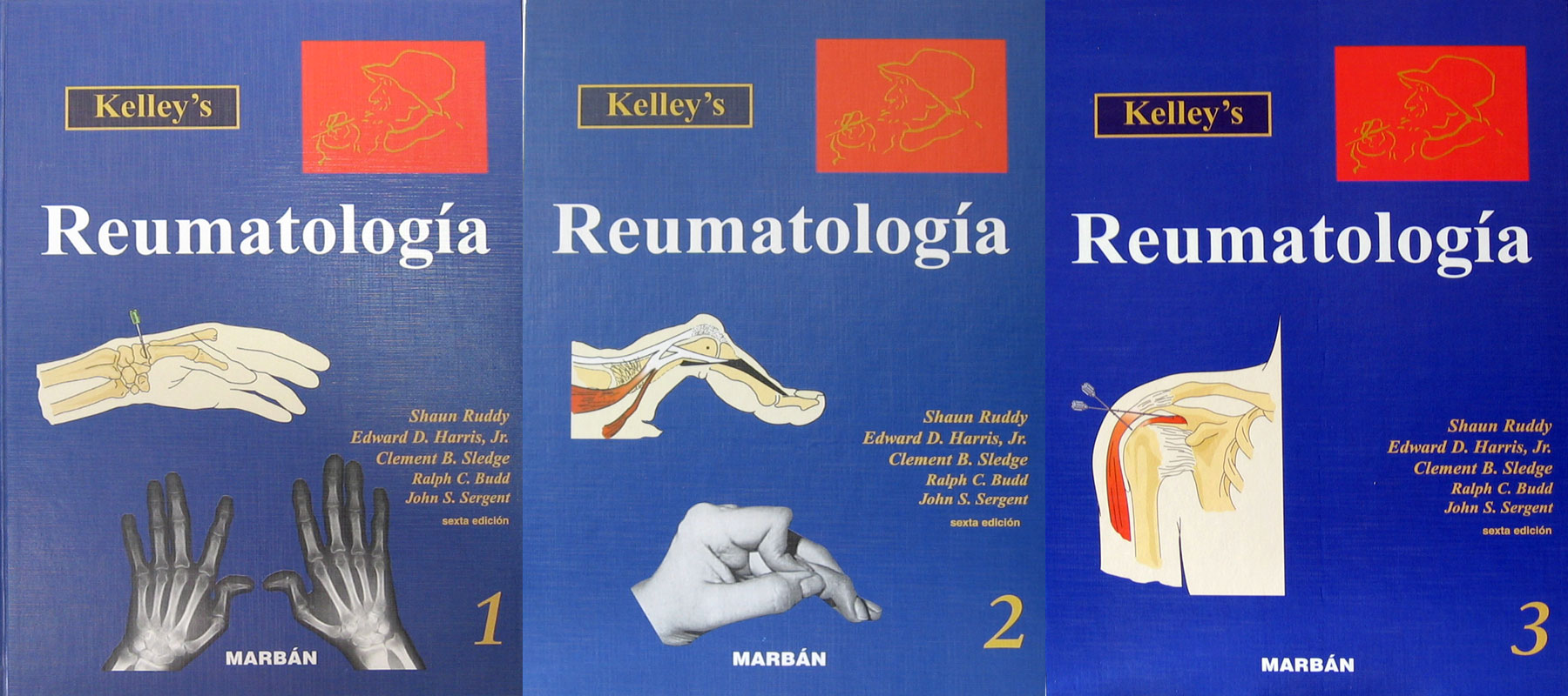 Libro: Reumatologia 3 Vols. T.D. Gran Formato Autor: Kelley's