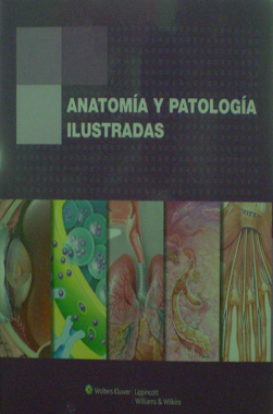 Anatomia y Patologia Ilustradas
